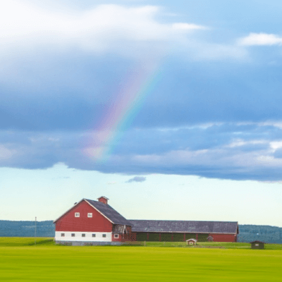 A Picture of a Rainbow