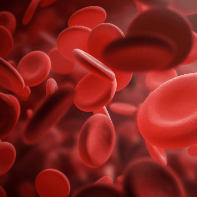 A Picture of Red Blood Cells
