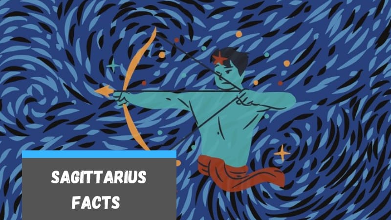 47 Facts about Sagittarius for School