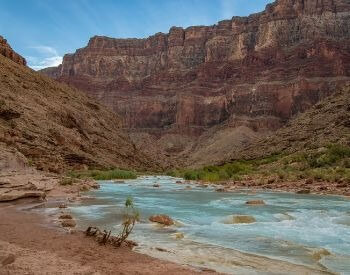 A picture of the shoreline along the Colorado River