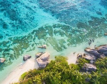 A picture of part of the shoreline of the Indian Ocean