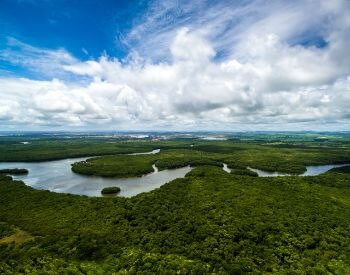 A picture of an ariel view of the Amazon River in Brazil