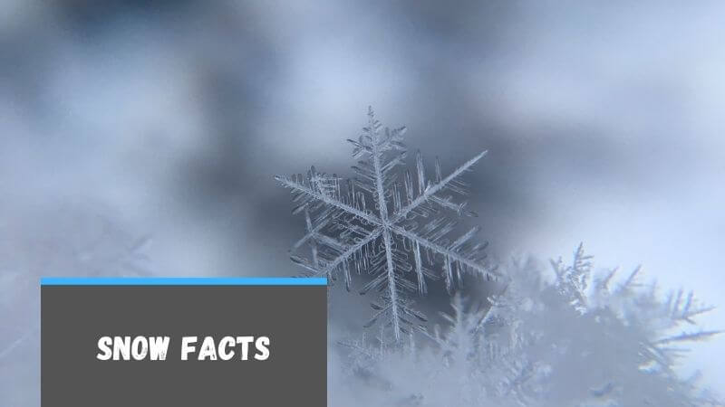 snow facts