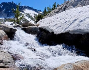 A picture of snowmelt