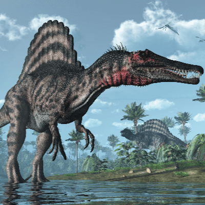 A Picture of a Spinosaurus