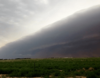 Squall Line Thunderstorm (Multi-Cell Line)