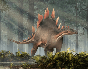 An illustration of the Stegosaurus, which was an Ornithischia dinosaur