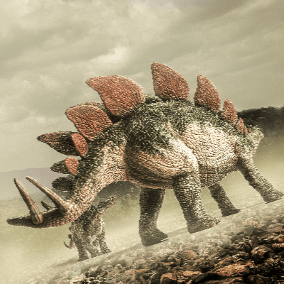 A Picture of a Stegosaurus