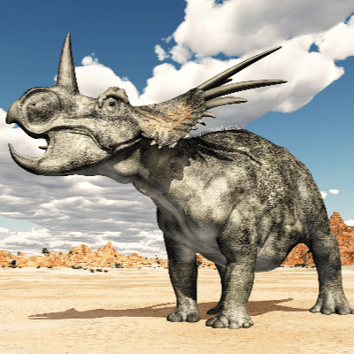 A Picture of Styracosaurus Albertensis