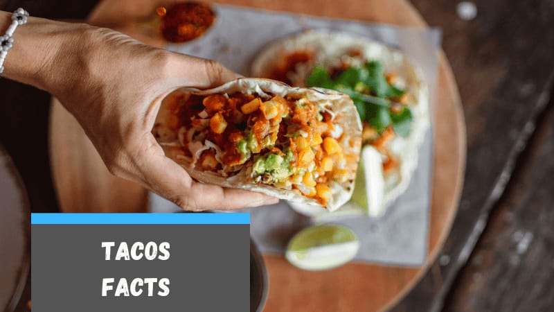 facts about Tacos for School