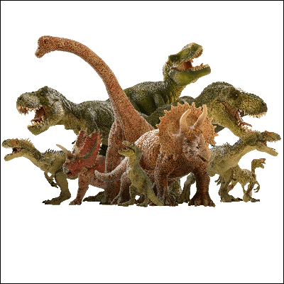 A Picture of Different Types of Dinosaurs