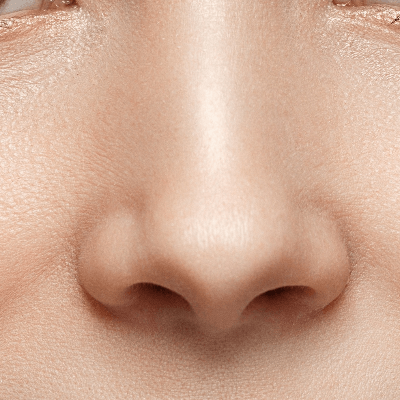 A Picture of the Human Nose