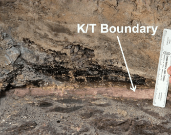 A photo of the K-T geological signature that has been exposed by erosion