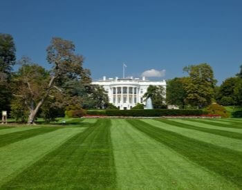 A picture of the big lawn in front of the White House