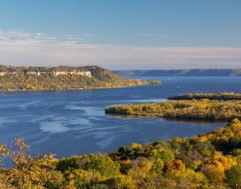 A picture of the shoreline of the Mississippi River