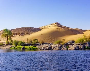 A picture of the shoreline of the Nile River