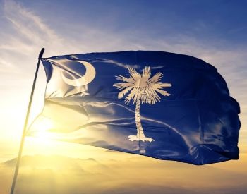 A picture of the flag of the U.S. state of South Carolina