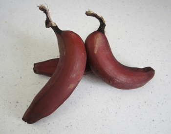 A picture of three single red bananas