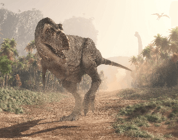 An illustration of the Tyrannosaurus, a Theropoda dinosaur