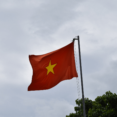 A Picture of Vietnam Flag