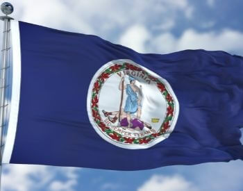 A picture of the flag for the U.S. state of Virginia