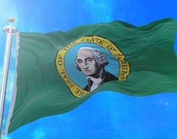 A picture of the flag for the U.S. state of Washington