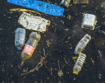 A picture of water polluted with human trash