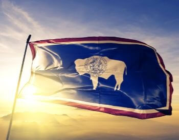 A picture of the flag for the U.S. state of Wyoming